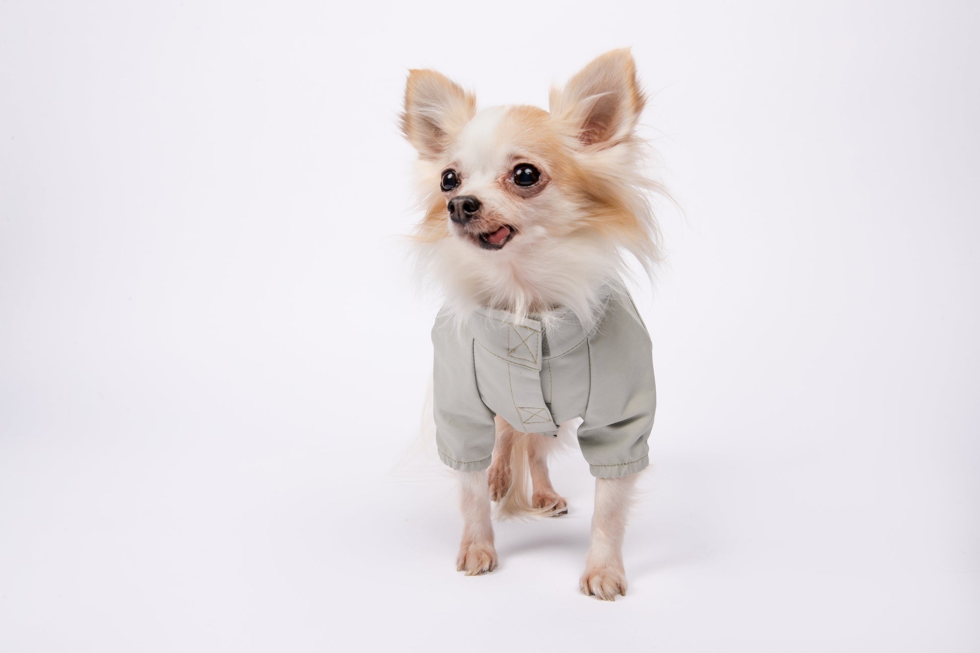 You Are Not Alone Thin Coat Water Resistant