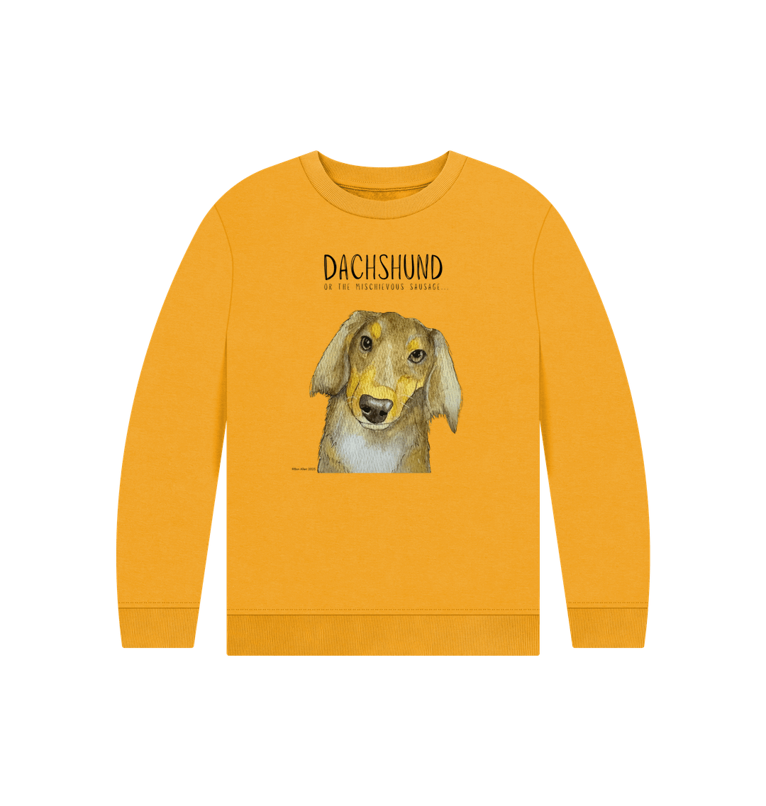 Snuggly Long Haired Sausage Dog Kids Sweatshirt