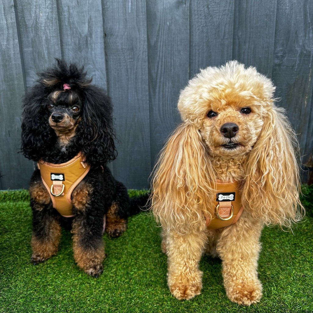 Camel Faux Leather Dog Harness Adjustable