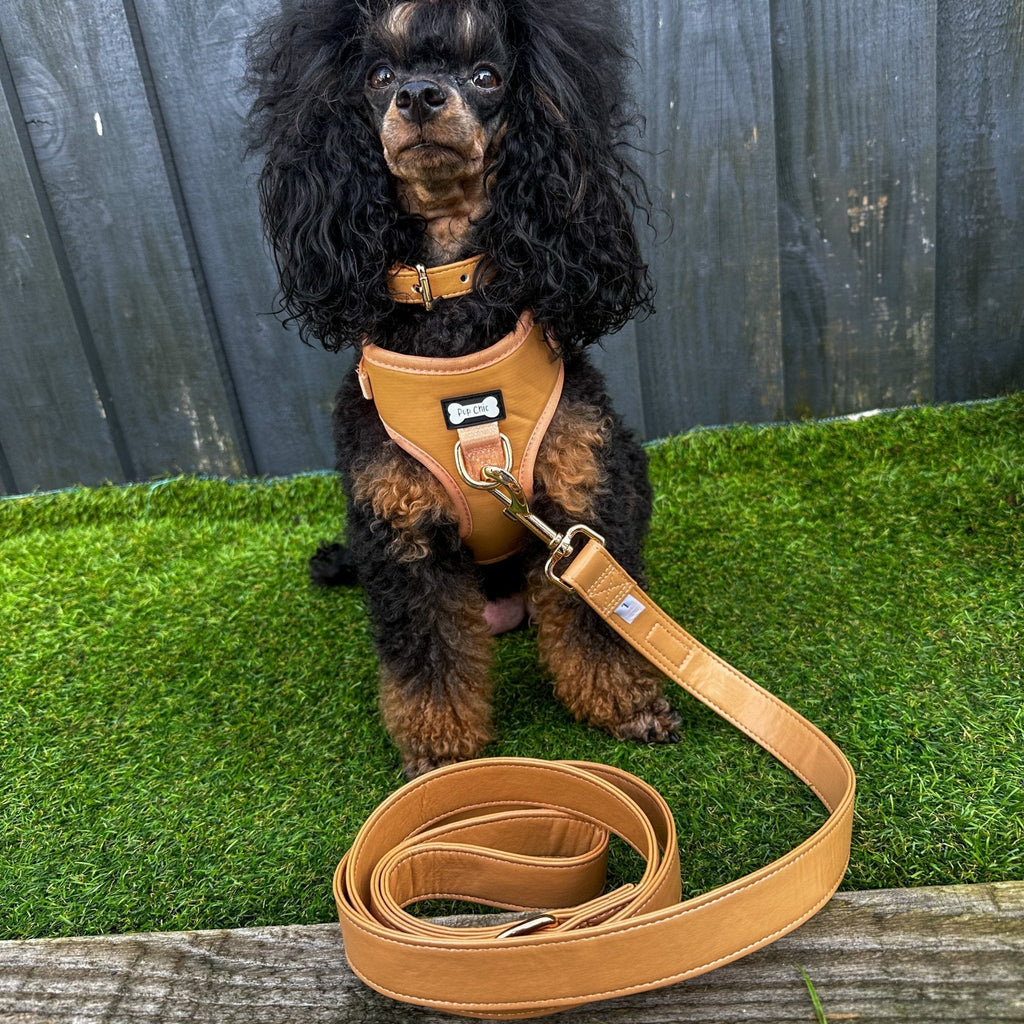 Vegan Leather Dog Lead 5ft in Camel