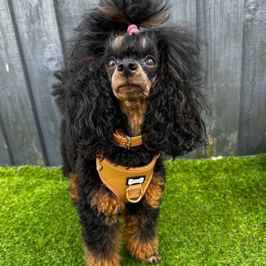 Camel Faux Leather Dog Harness Adjustable