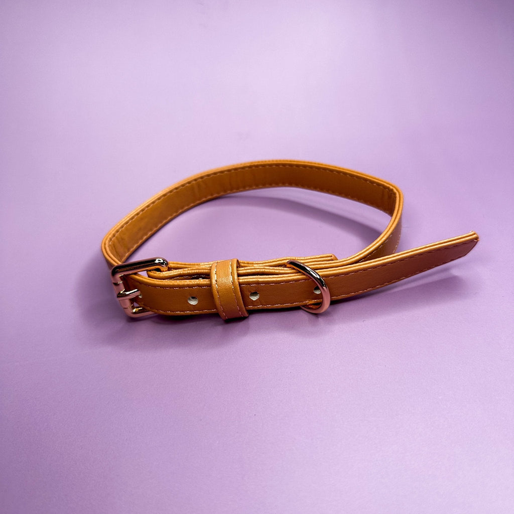 Vegan Leather Dog Collar in Camel with Gold Buckle