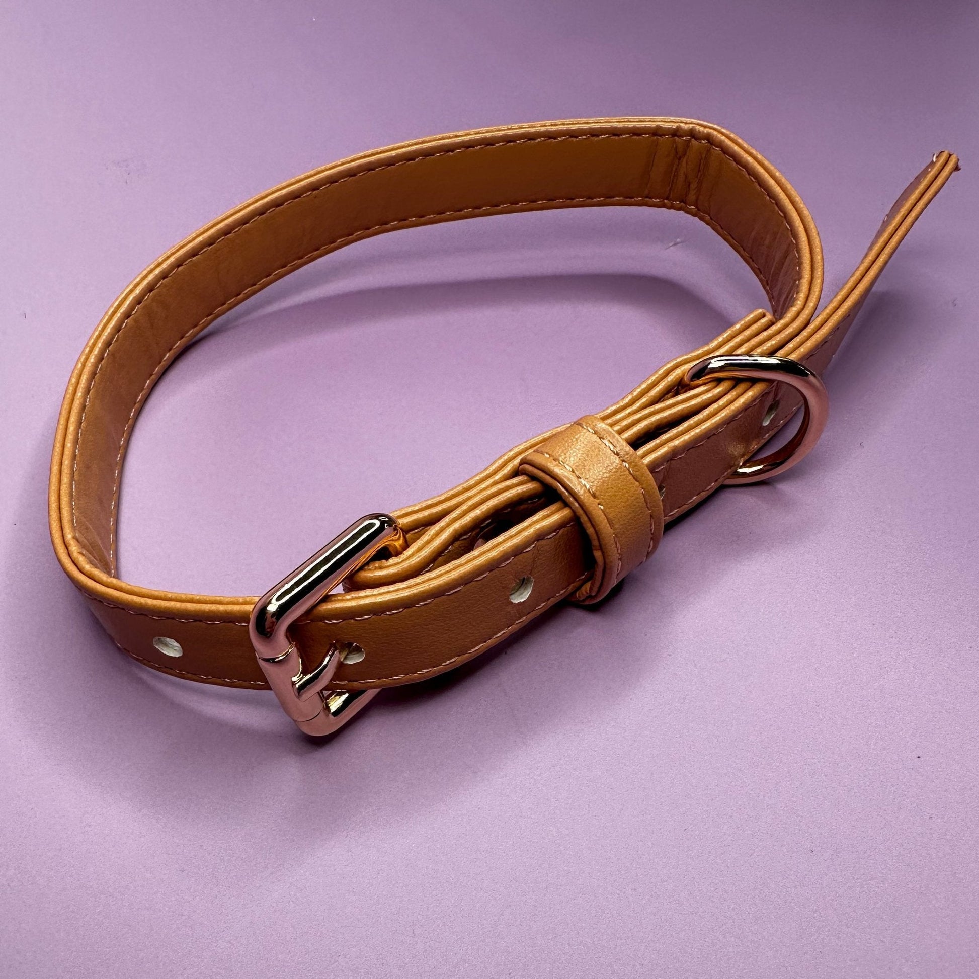 Vegan Leather Dog Collar in Camel with Gold Buckle