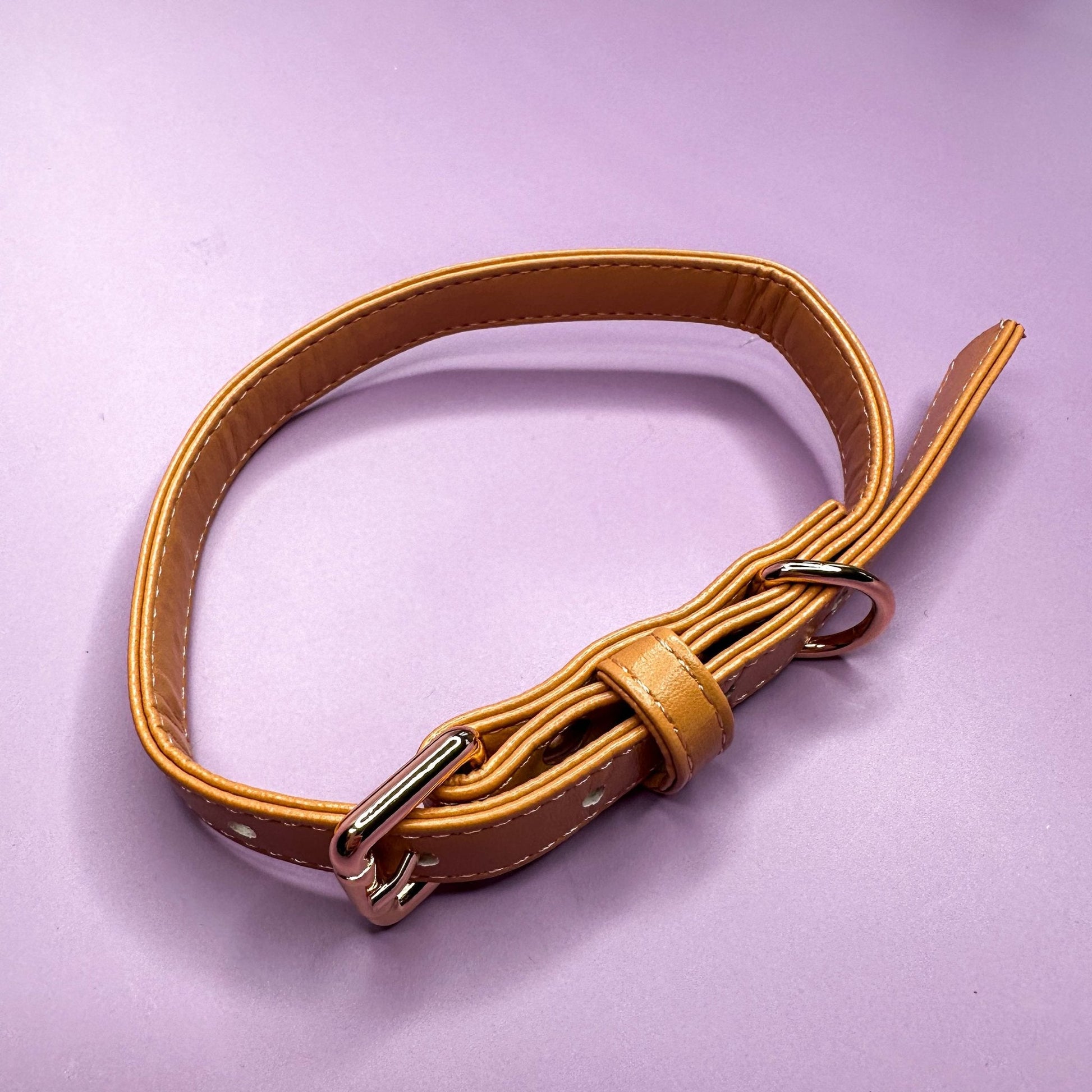 Vegan Leather Dog Collar in Camel with Gold Buckle