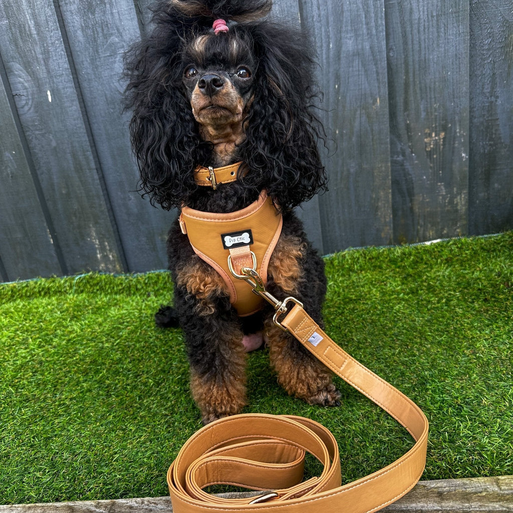 Camel Faux Leather Dog Harness Adjustable