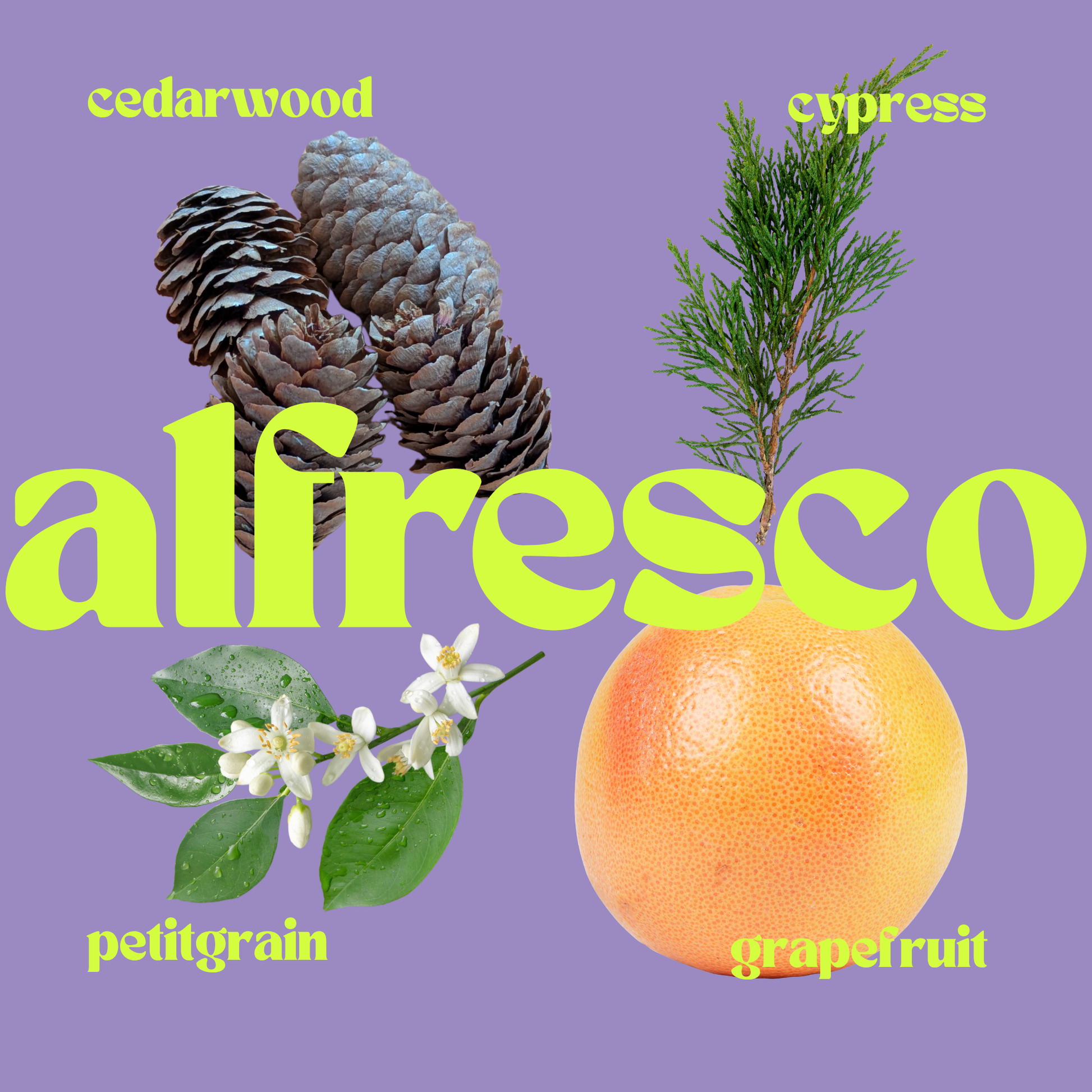 The Entertainers Gift Set