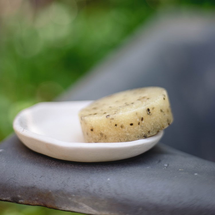 close-up of kiwi seed scrub bar on bathroom counter with lemongrass sprig