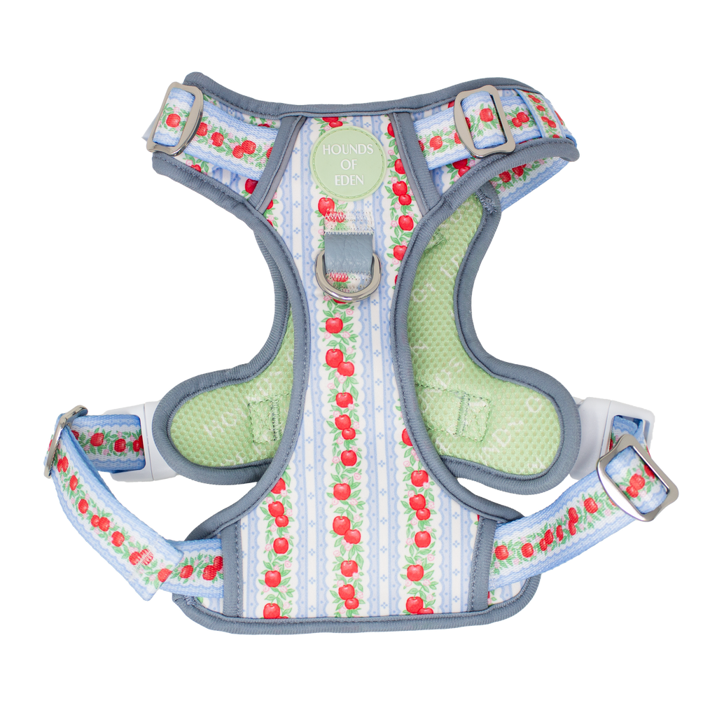 Supaw Strong Dog Harness XS to XL