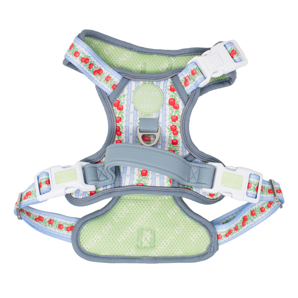 Supaw Strong Dog Harness XS to XL