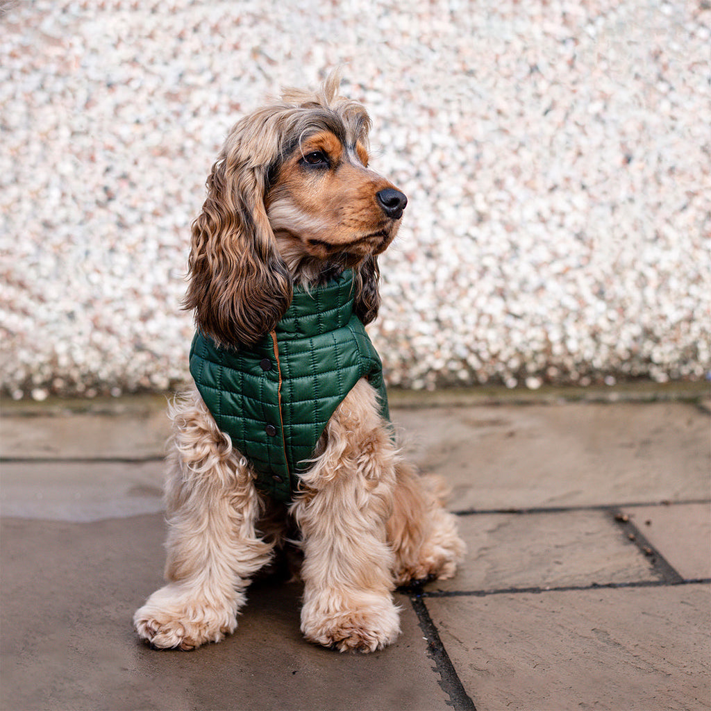 You Are Not Alone Sleeveless Puffer Jacket