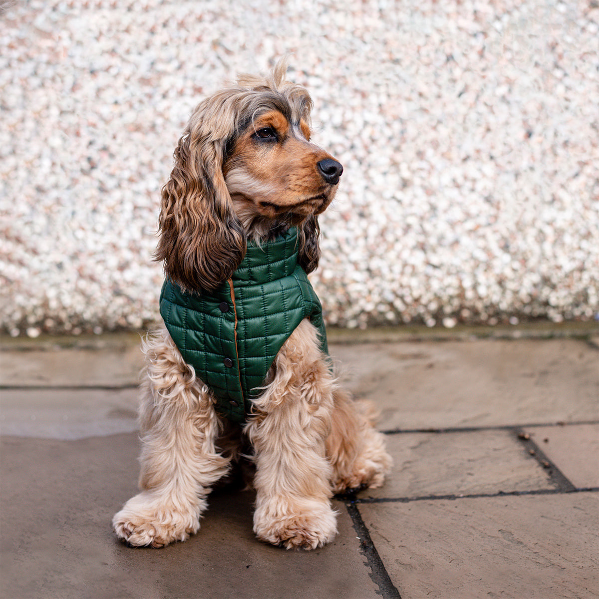 You Are Not Alone Sleeveless Puffer Jacket