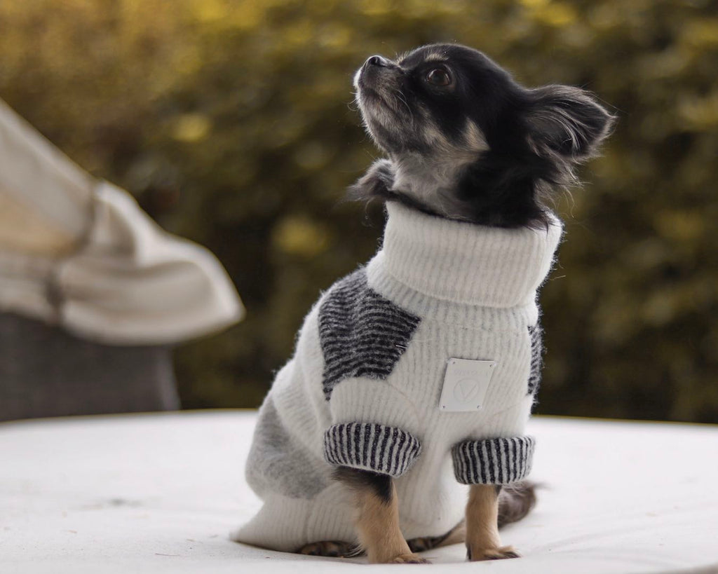 Contrast Stripe Turtleneck Jumper in Black and White