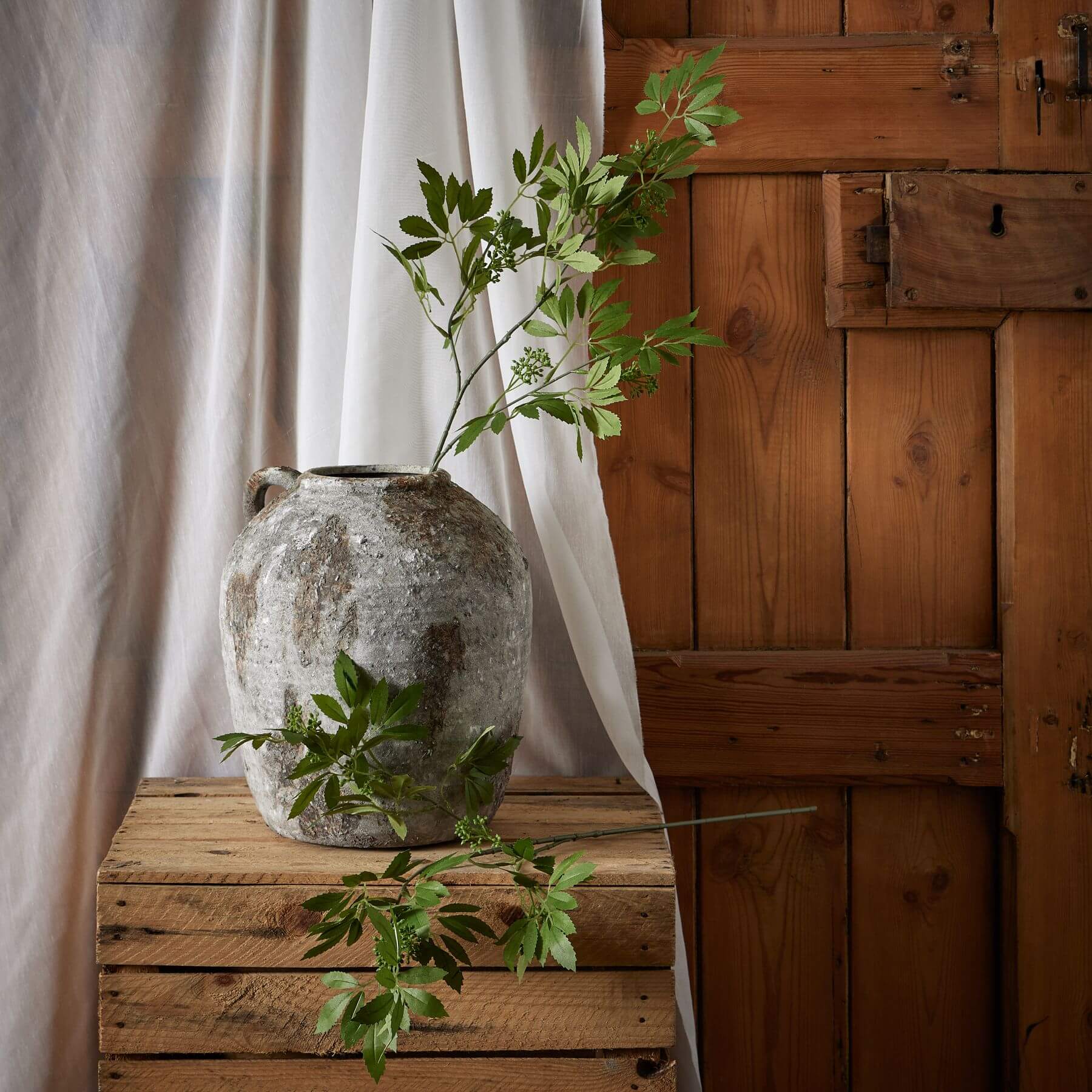 Lifelike artificial fennel stem with feathery green foliage, 76cm tall, perfect for farmhouse or Scandinavian decor. by sostter at brixbailey.com