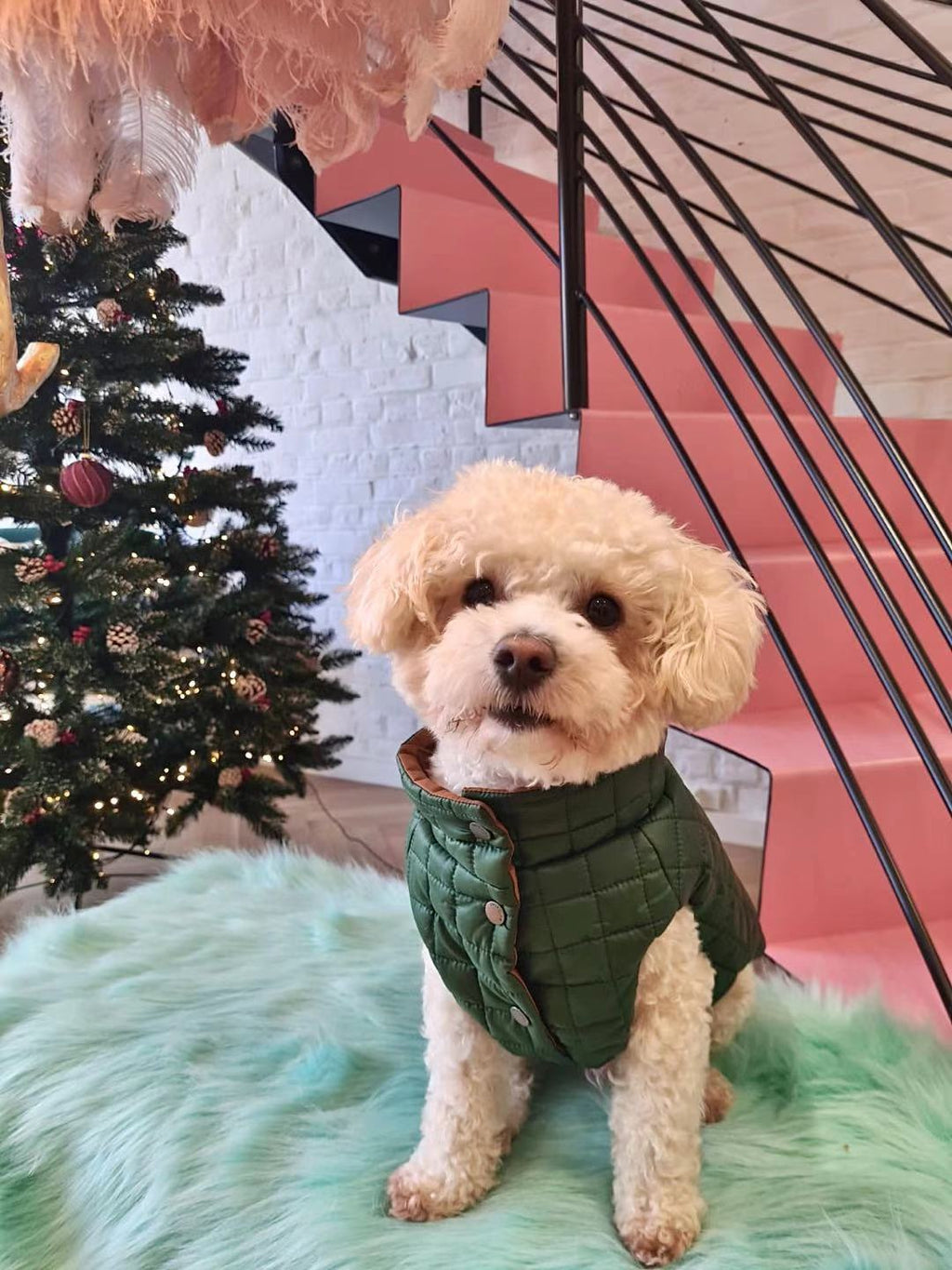 You Are Not Alone Sleeveless Puffer Jacket