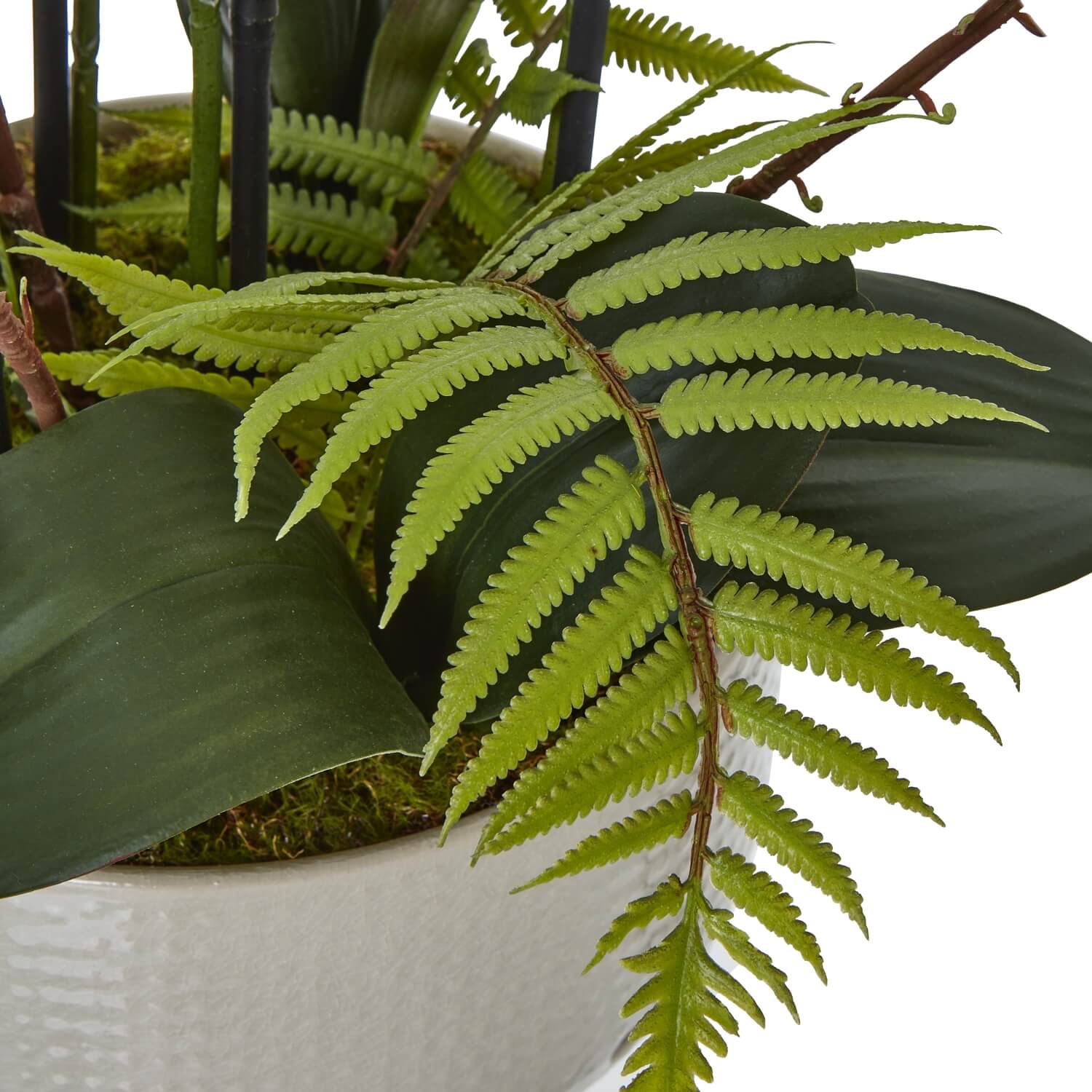 Large white faux orchid in ceramic pot with realistic blooms and green foliage, perfect for home decor. by Sostter at brixbailey.com