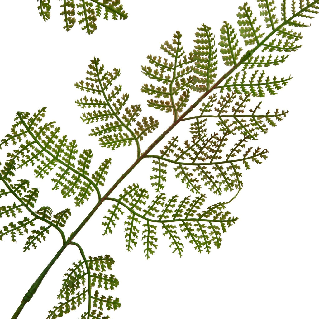 Lifelike large bracken fern spray with rich green tones, realistic plastic fronds for zero-maintenance home decor by sostter at brixbailey.com