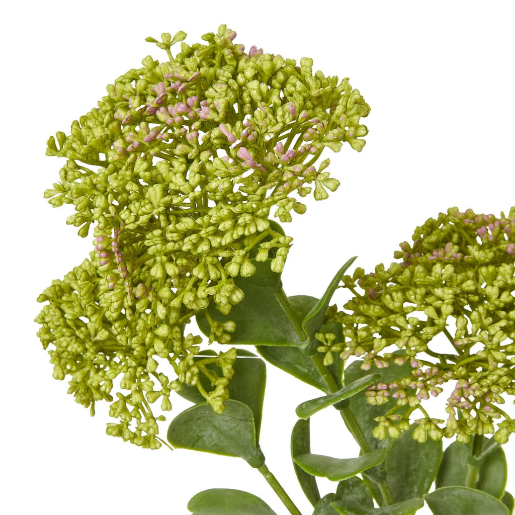 Lifelike faux sedum spray with green succulent foliage and clustered blooms, 58cm tall, for vase or tabletop decor by sostter at brixbailey.com