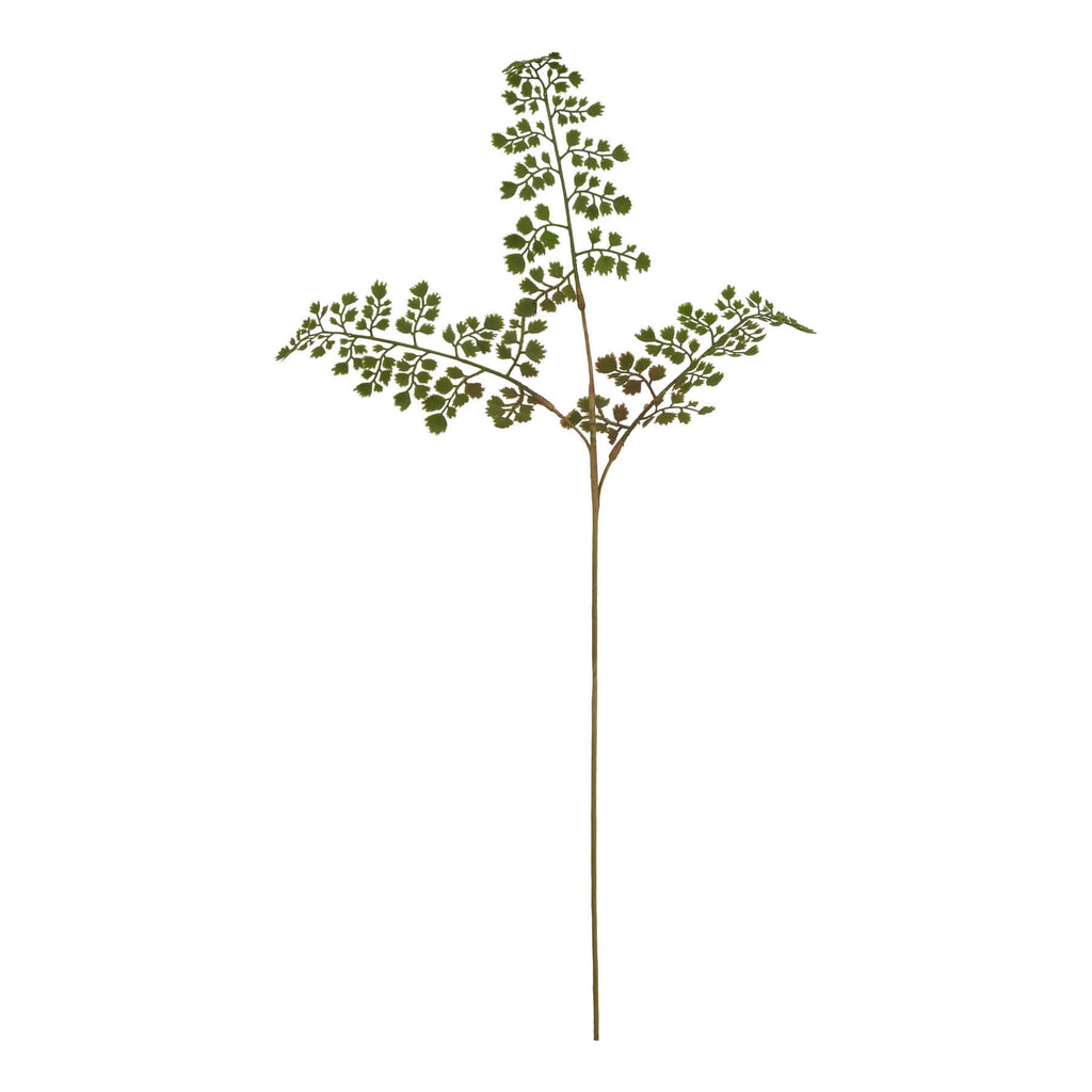 Lifelike maidenhair fern stem in natural green, 64cm faux botanical decor for home or office by sostter at brixbailey.com
