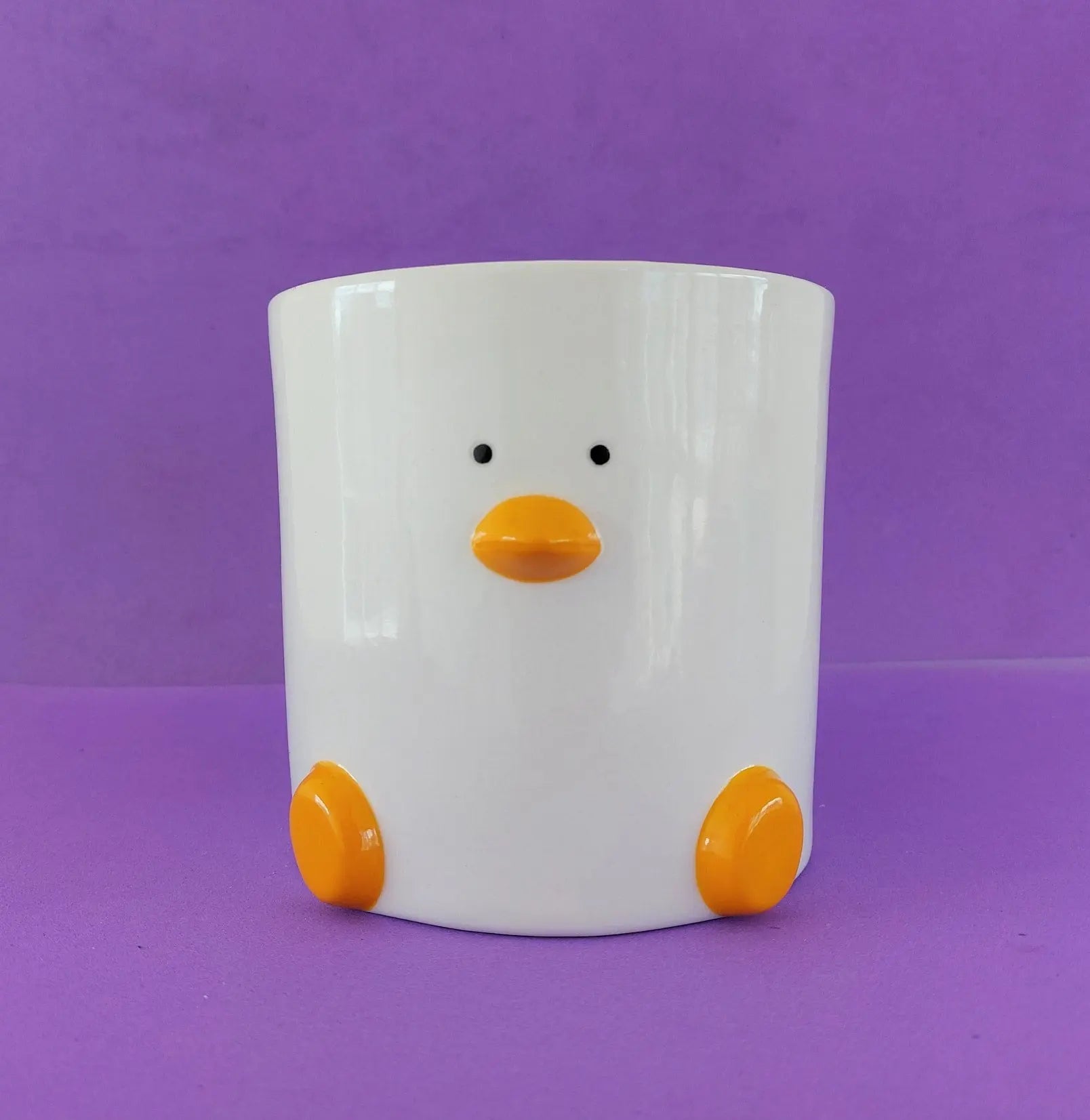 Duck Plant Pot 12cm with Drainage