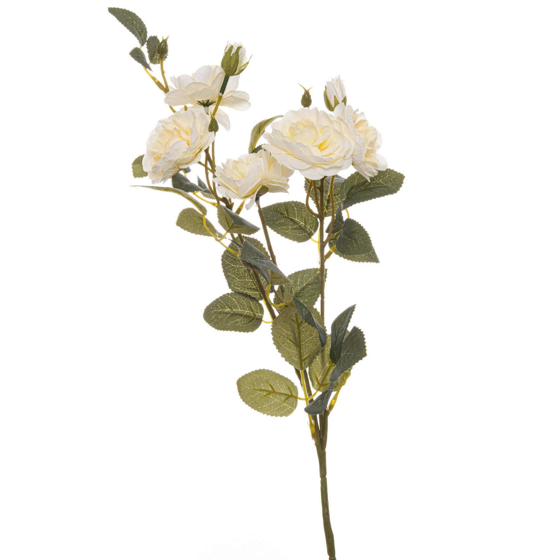 Soft white cottage rose stem with realistic ivory blooms and green foliage, perfect for floral arrangements by sostter at brixbailey.com