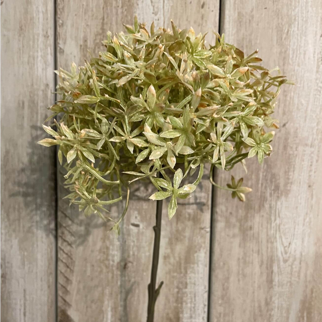 Rich coffee brown faux allium stems, 63cm tall with realistic spherical blooms for home decor  by sostter at brixbailey.com