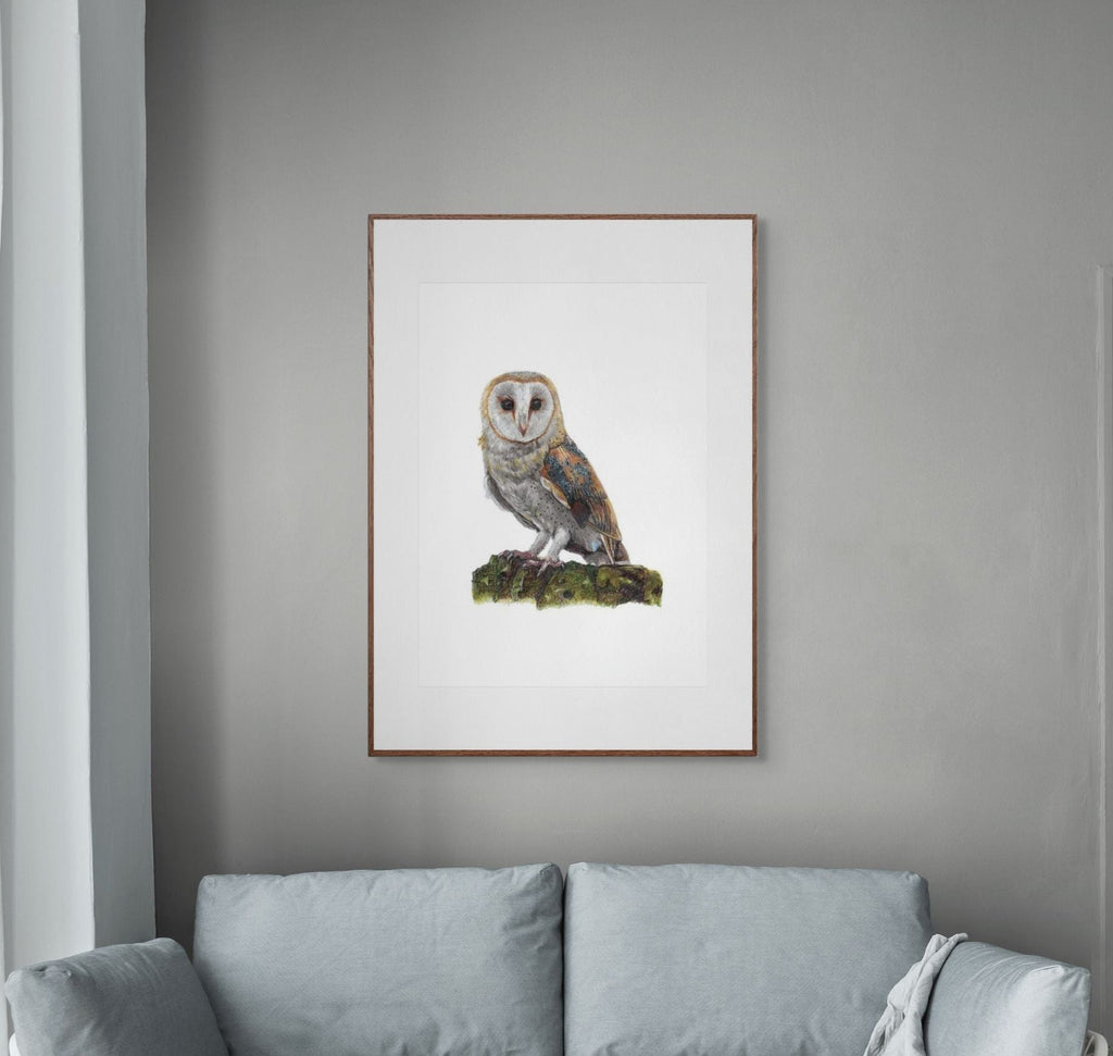 Barn Owl Art Print Wildlife Wall Art for Nature Lovers