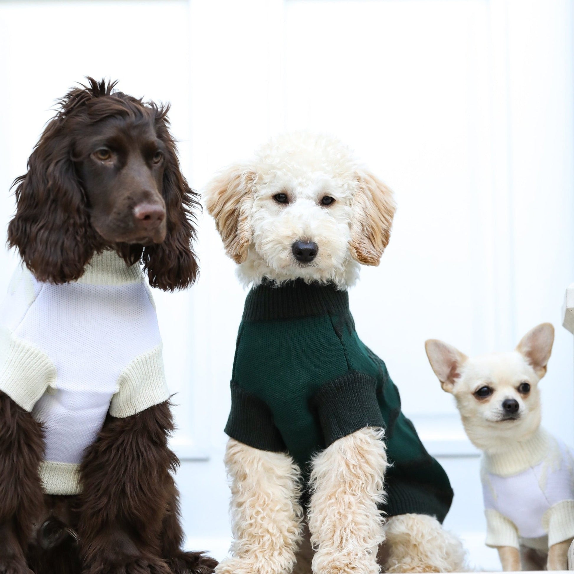 Textured Zig Zag Jumper in Dark Green and White