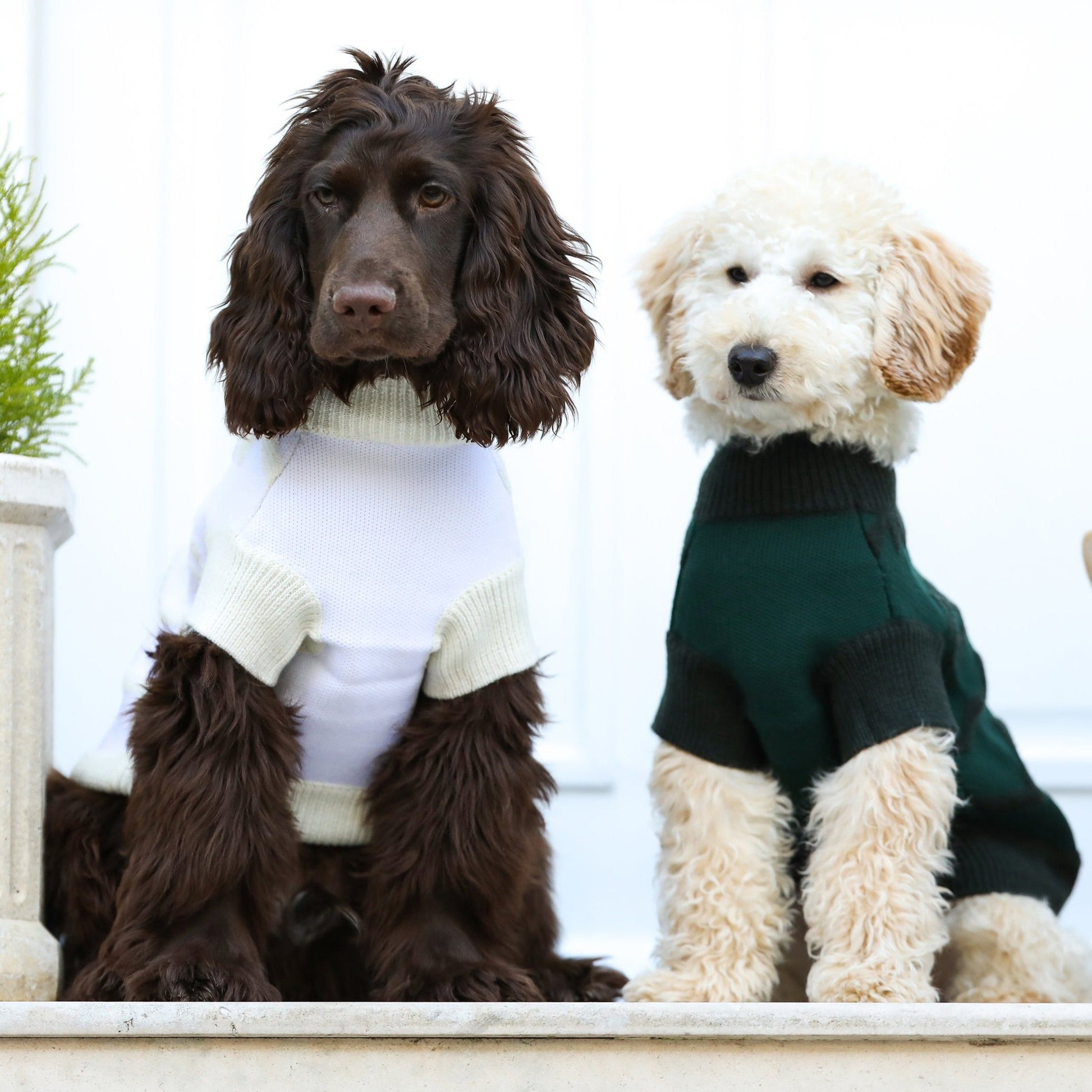 Textured Zig Zag Jumper in Dark Green and White