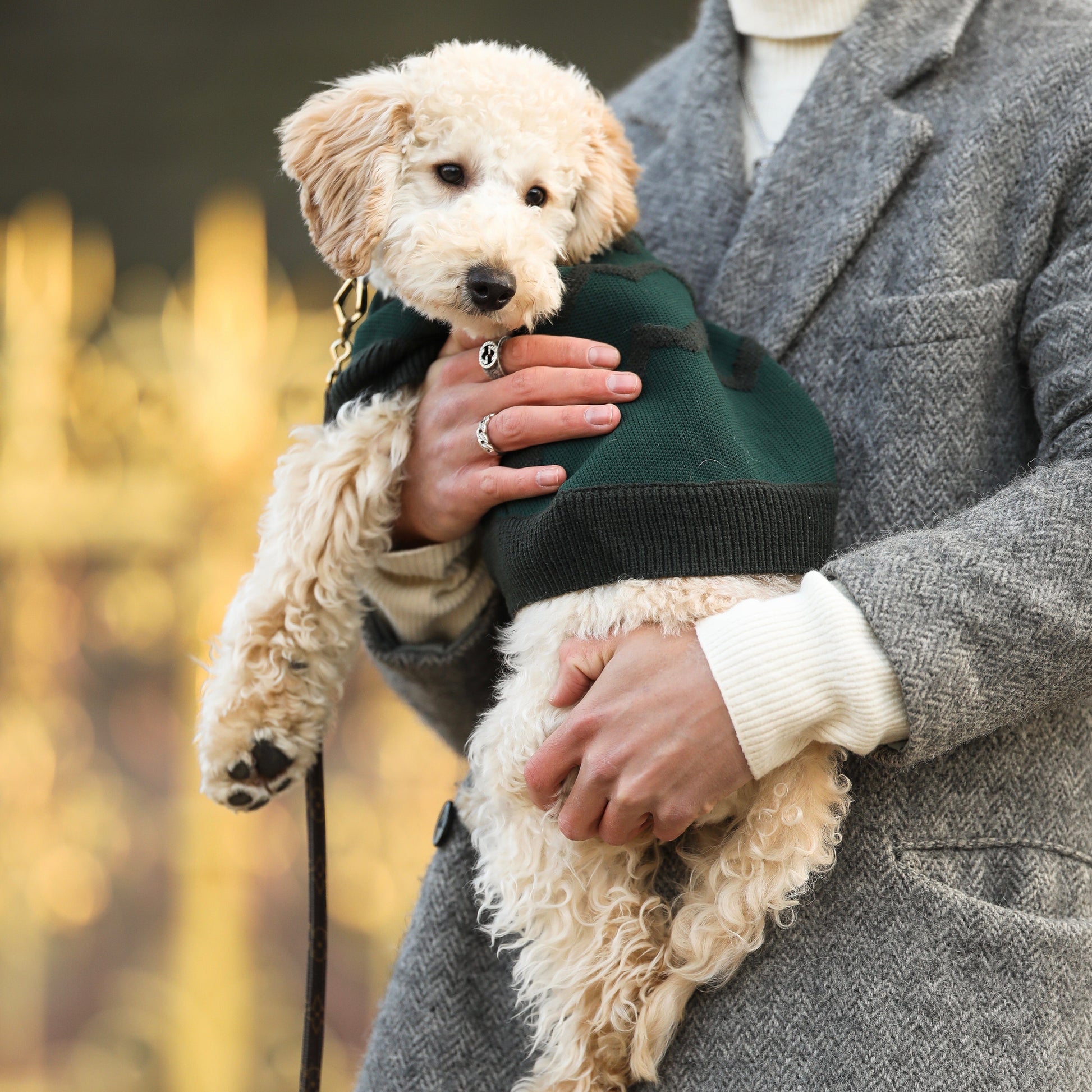 Textured Zig Zag Jumper in Dark Green and White