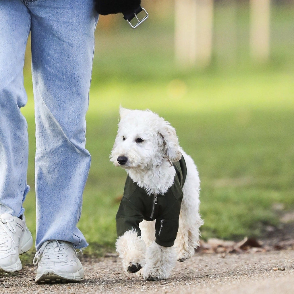 Zipped Bomber Jacket in Green