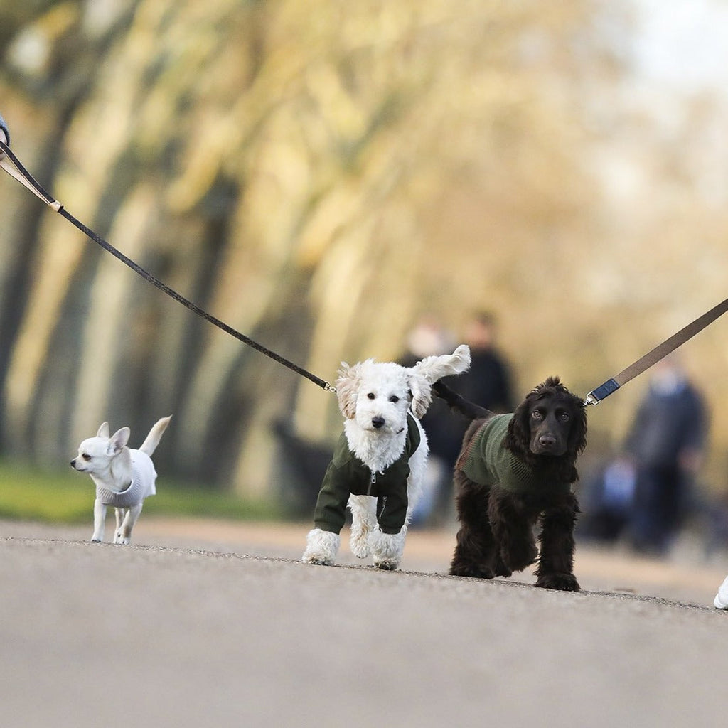 Zipped Bomber Jacket in Green