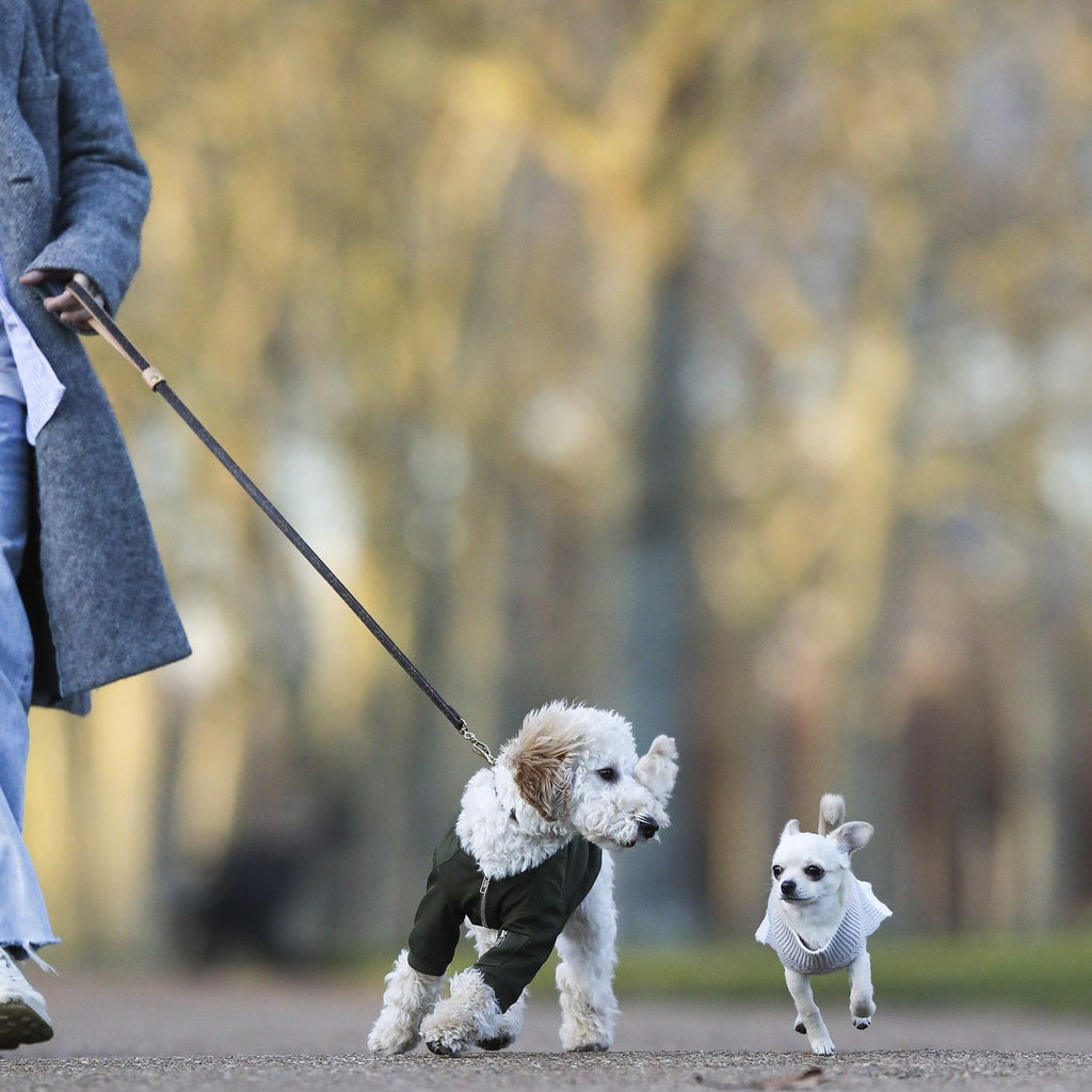 Zipped Bomber Jacket in Green