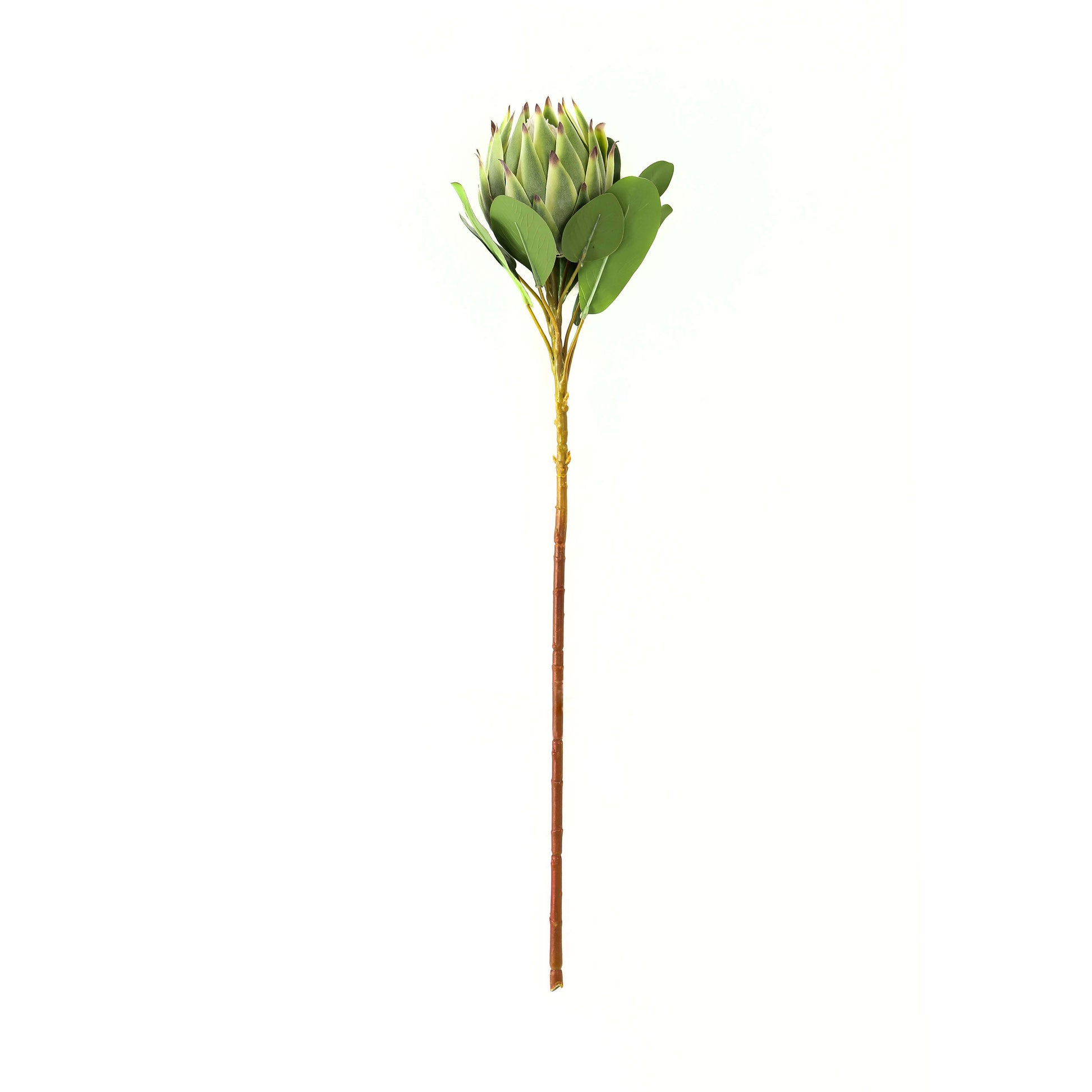 Artificial Protea stem with lush green spiral petals, 73cm tall, hyper-realistic design for home decor by Sostter at brixbailey.com