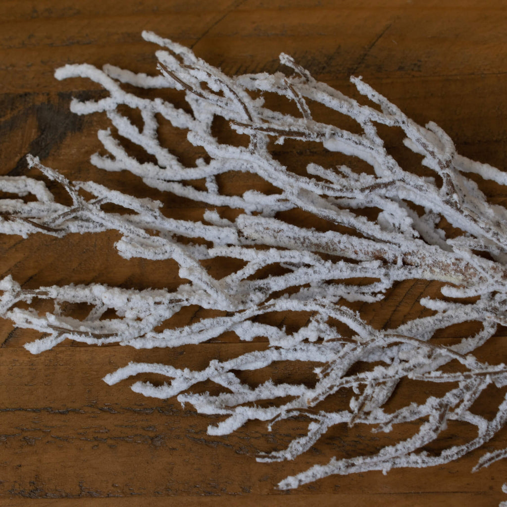 Realistic frosted botanical branch, 75cm winter decor with lifelike snow details for vases or wall displays by RoomLondon at brixbailey.com