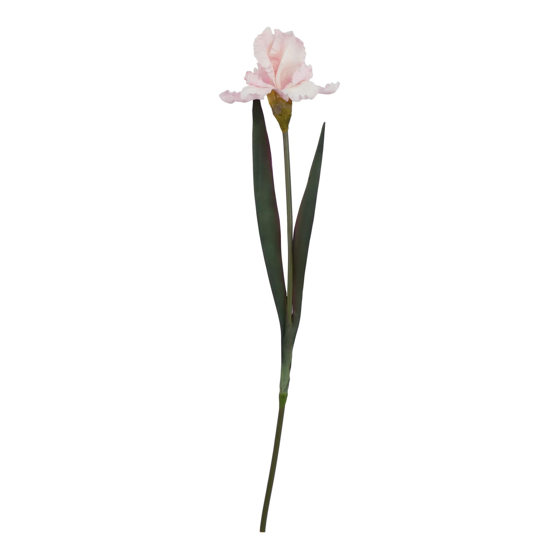 Pale pink fringed iris artificial stem with lifelike petals, 83cm tall, for elegant home decor. by sostter at brixbailey.com