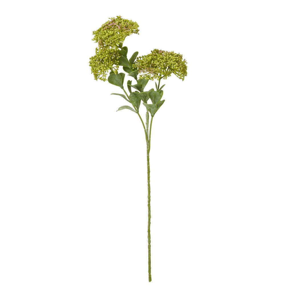 Lifelike faux sedum spray with green succulent foliage and clustered blooms, 58cm tall, perfect for vase arrangements. by sostter at brixbailey.com