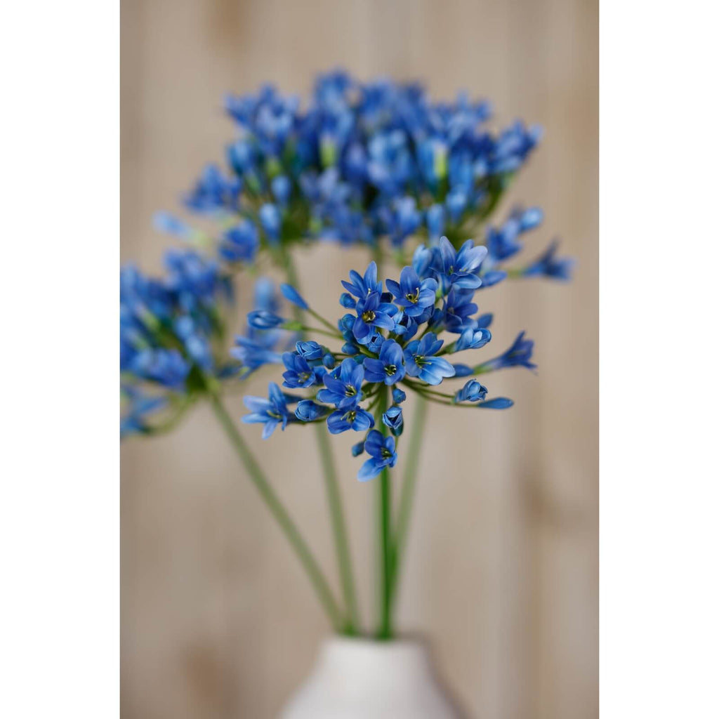 Vibrant blue agapanthus artificial stem, lifelike plastic floral decor with botanically accurate details, 75cm tall by Sostter at brixbailey.com