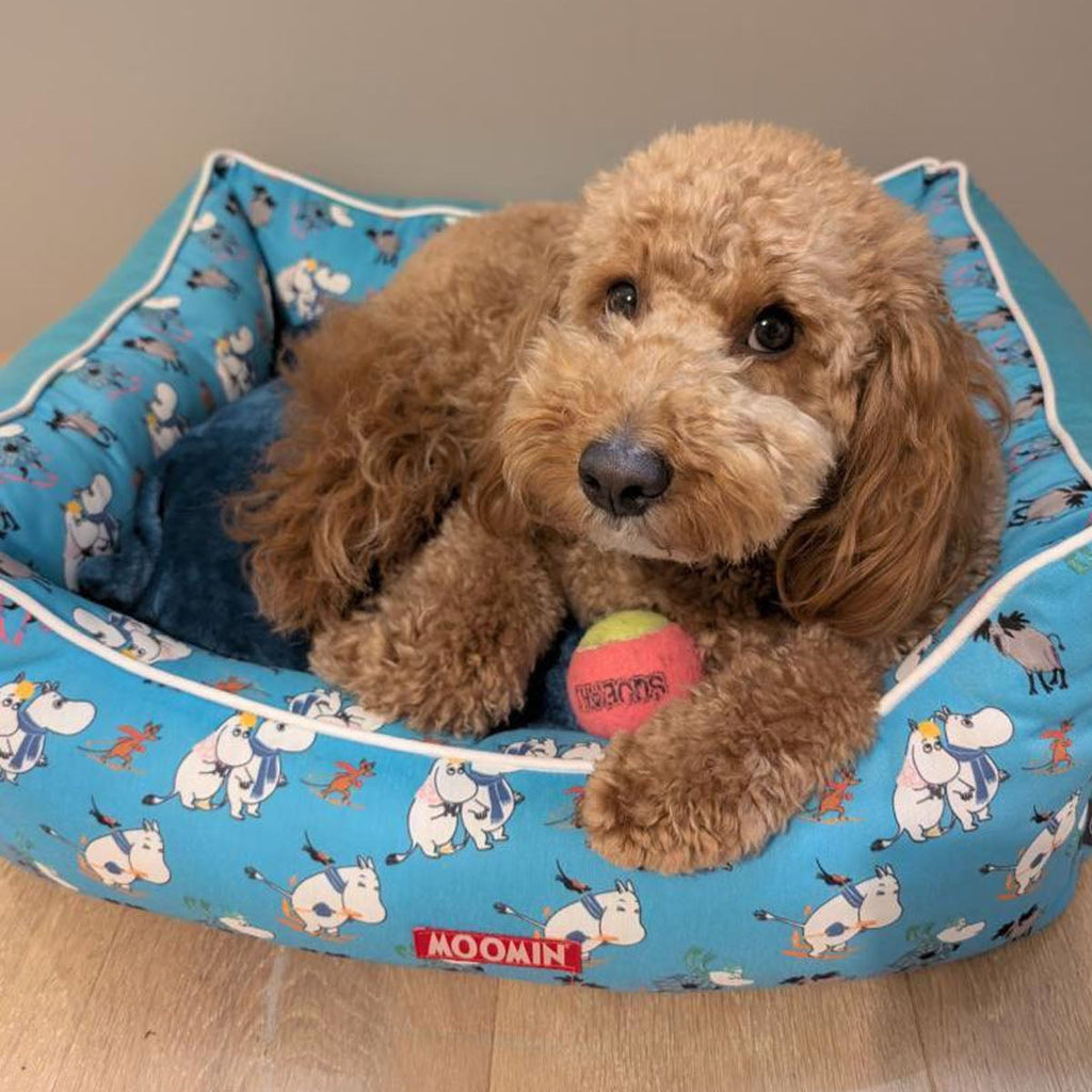 Moomins Blue Ski Holidays Pet Bed