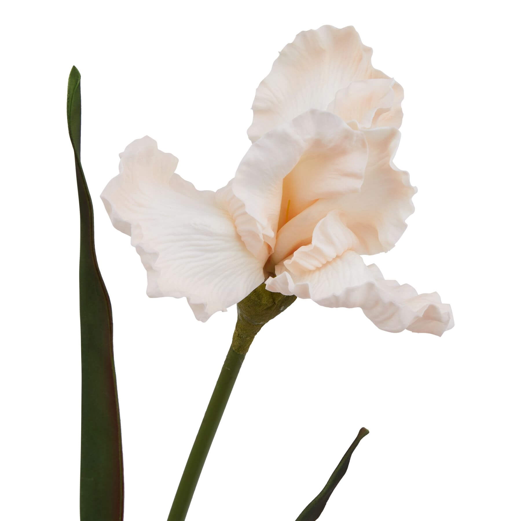 Lifelike pale apricot artificial iris with fringed petals, perfect for home decor by sostter at brixbailey.com