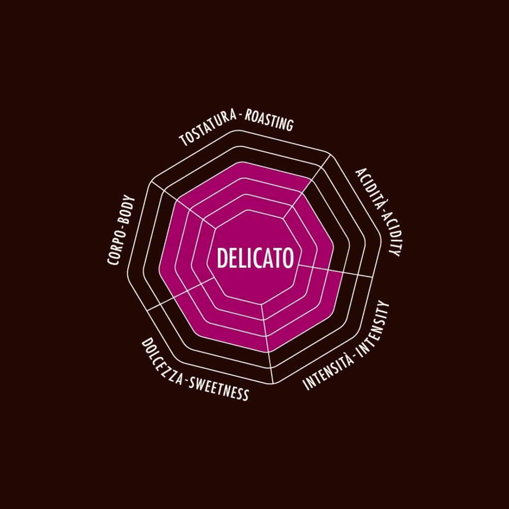 Whole Bean Coffee Collection