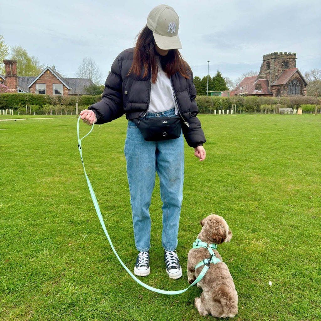 Dog Walking Bum Bag in Black