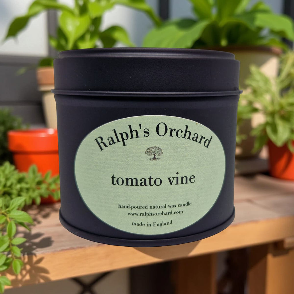 Tomato Vine Fragrance