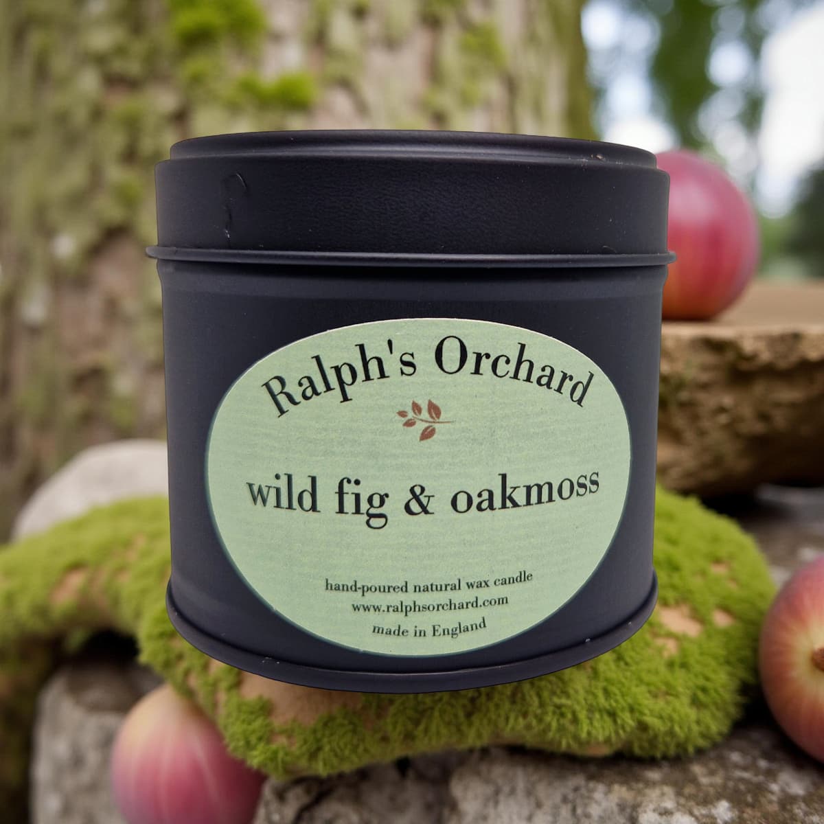 Wild Fig & Oakmoss