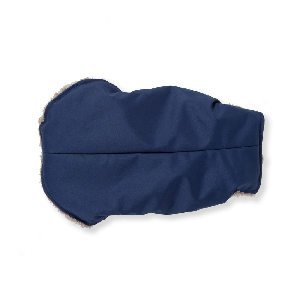 Blue and Cappuccino Teddy Bear Waterproof Dog Jacket