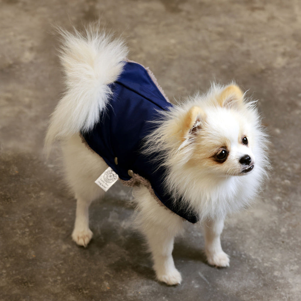 Blue and Cappuccino Teddy Bear Waterproof Dog Jacket