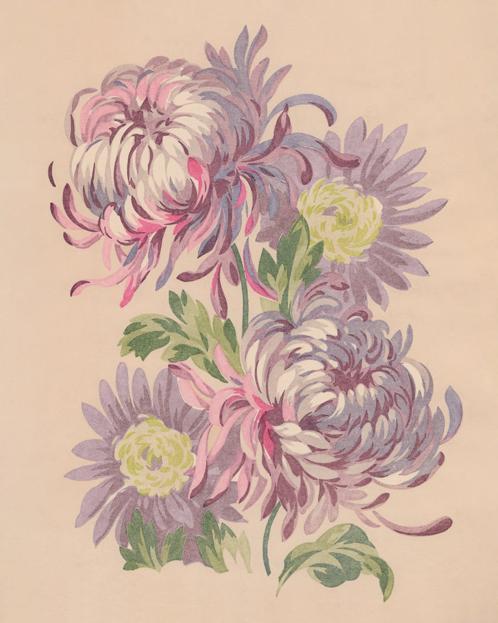 Paint By Numbers Kit Connie Blooms 40x50cm