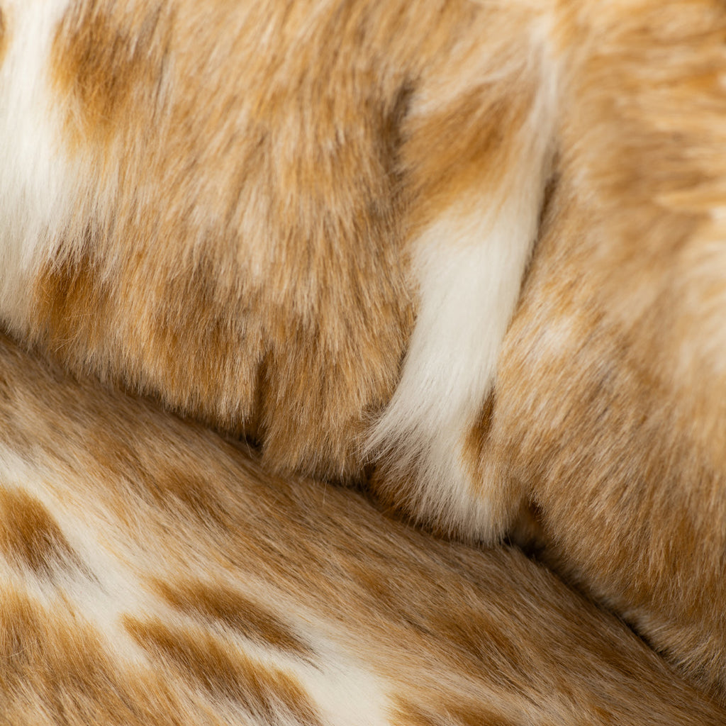 Blue and Beige Coco Dog Carrier for Small Dogs