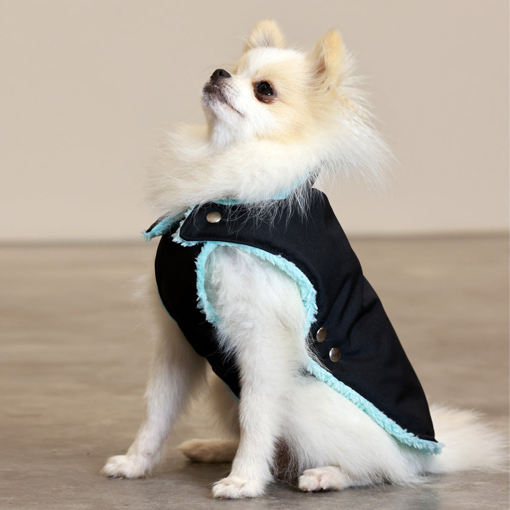 Black and Mint Teddy Bear Waterproof Dog Jacket
