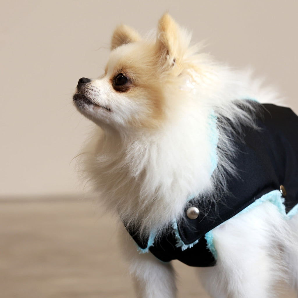 Black and Mint Teddy Bear Waterproof Dog Jacket