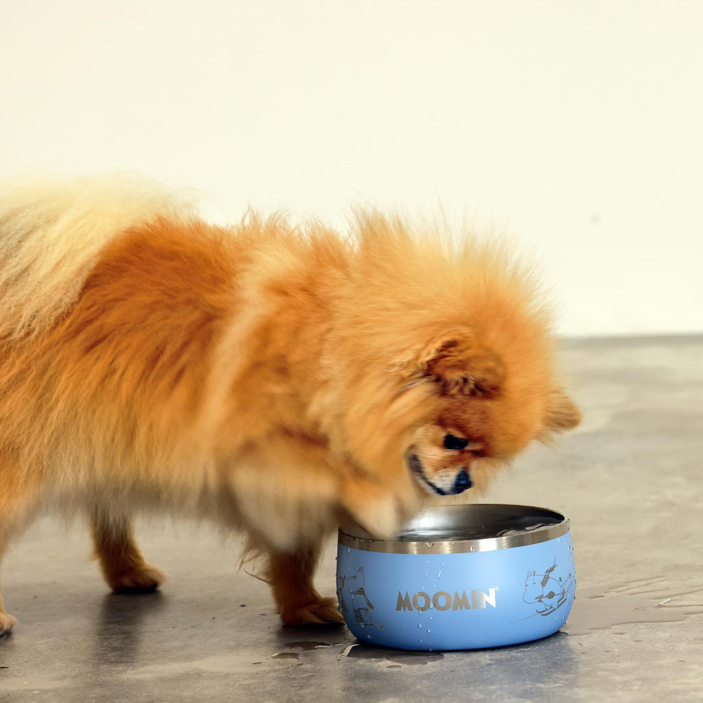 Moomins Blue Lunar Bowl for Dogs